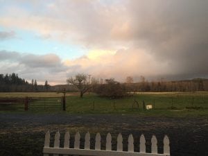 Wynoochee River Winery Montesano