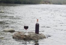 Wynoochee River Winery Wine Bottle on Rock