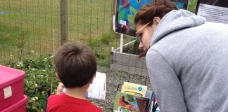 Library in the Park