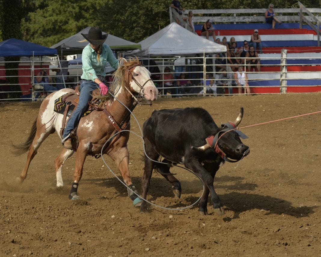 Rodeo Team Roping