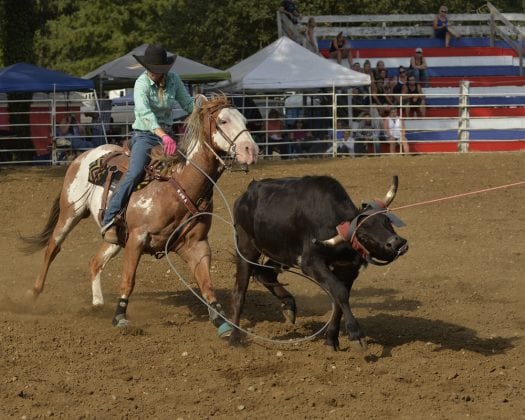 Rodeo Team Roping