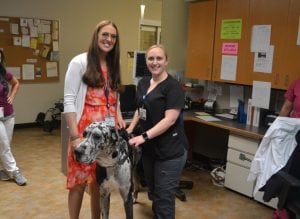 Vince and his handler and nurses at Summit Pacific