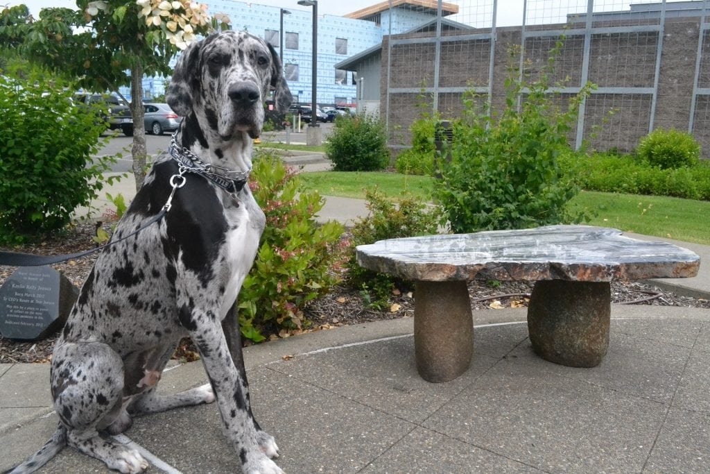Vince sitting in the garden at Summit Pacific