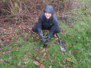 Grays Harbor Stream Team Tree Planting 2018