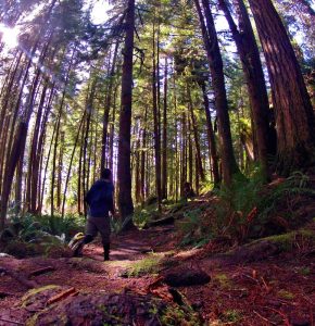 Grays Harbor Hiking