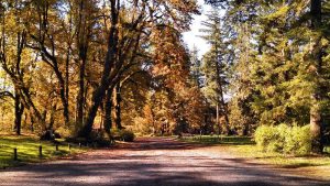 Camping in Elma Schafer Park via Friends of Schafer and Lake Sylvia