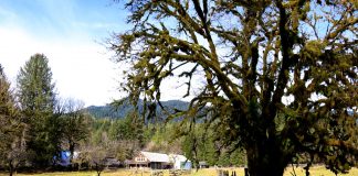 Kestner Homestead