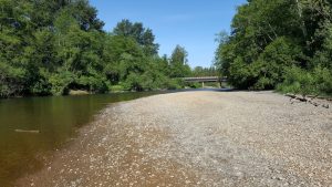 Twin Bridges Park Along the Wynoochee River