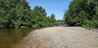 Twin Bridges Park Along the Wynoochee River