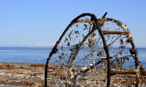 Where to camp in Grays Harbor Washington Damon Point