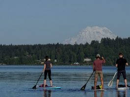 paddleboarding Olympia Washington