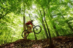 Mountain Bike trails in Montesano