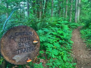 Where to Mountain Bike in Montesano