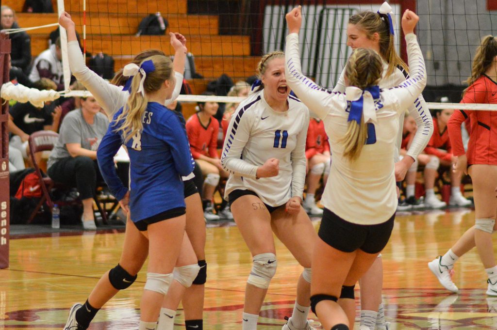elma volleyball