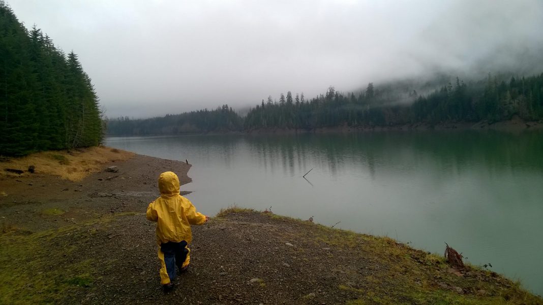 Rain in Grays Harbor County
