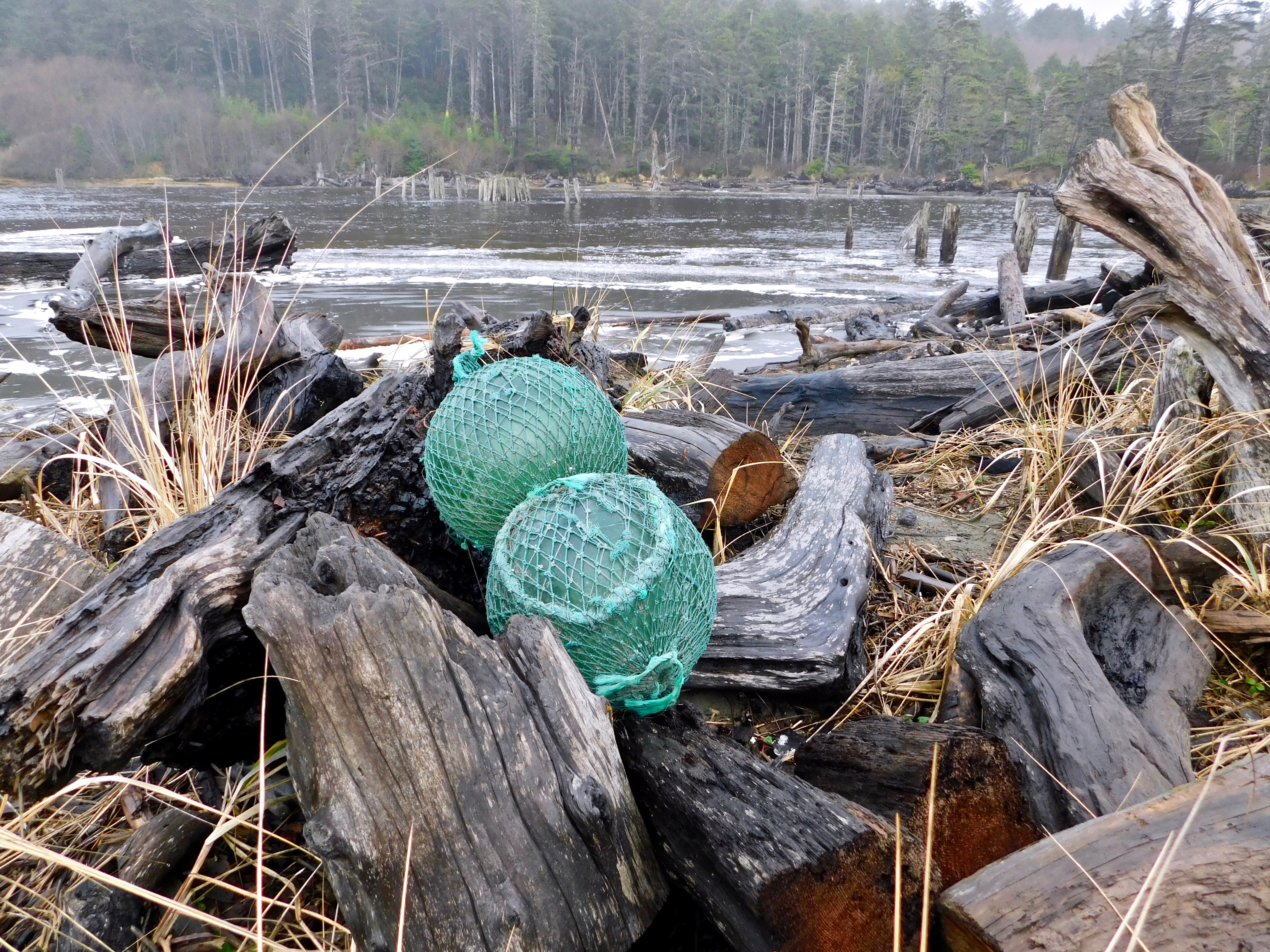 Searching for Glass Floats in Grays Harbor - GraysHarborTalk