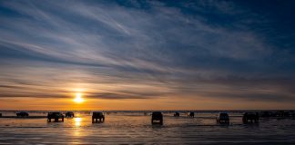 Clam-diggers-at-Copalis-Beach-by-Tom-Collins