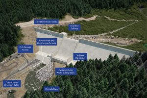 Public Comments on Proposed Chehalis Dam @ webex call-in