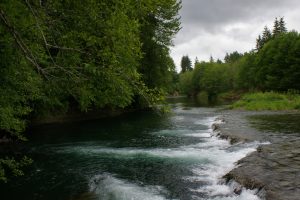  chehalis-lead-entity-wynoochee-river.