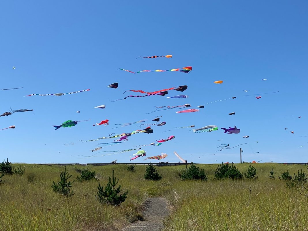 Day Trip grays Harbor kite flying on-beach