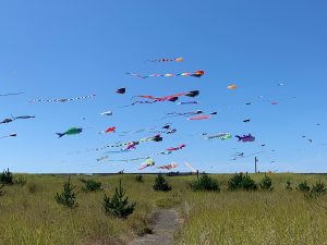 Day Trip grays Harbor kite flying on-beach