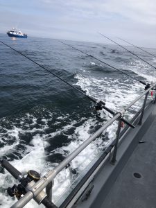 Grays Harbor fishing trip fishing-poles-on-charter-boat-Westport