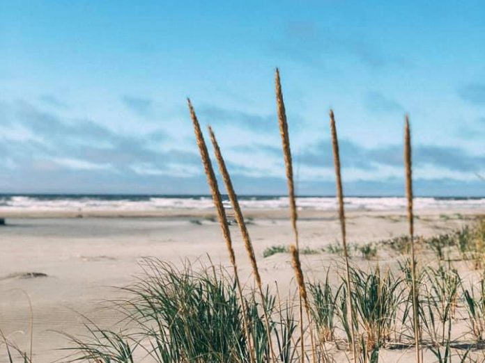 instgram spots ocean shores beach-grass instgram spots ocean shores beach-grass