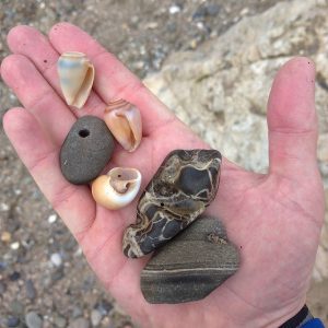 Beachcombing ocean shores Rocks-and-Shells