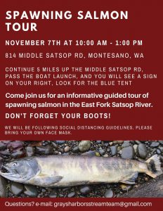 Spawning Salmon Tour @ Forterra Property