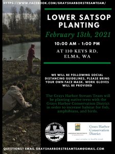 Lower Satsop Planting