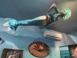 International Mermaid Museum aberdeen 21