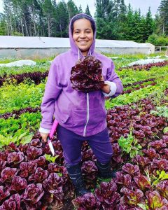 Sky-Island-Farm-Daughter-with-Lettuces-1