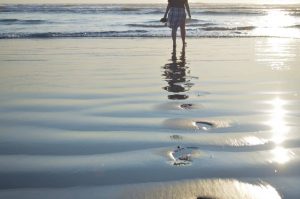 day trip grays harbor telecommuting footsteps-to-ocean