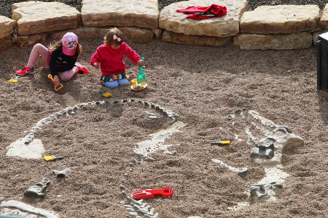 Hands-on-Childrens-Museum-Summer-Splash-Dino-Dig