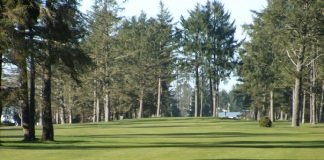 Ocean-Shores-Golf-Course-green-with-trees