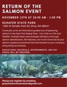 Return of the Salmon: a free in-person event at Schafer State Park @ Schafer State Park