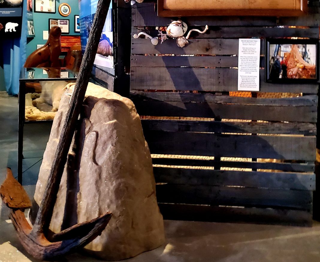 mermaid muesum westport anchor