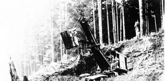 Polson Logging Company truck in forest