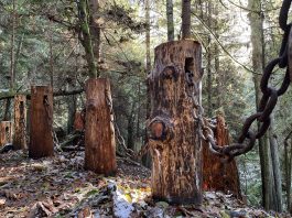 The Ludlow Falls Interpretive trail