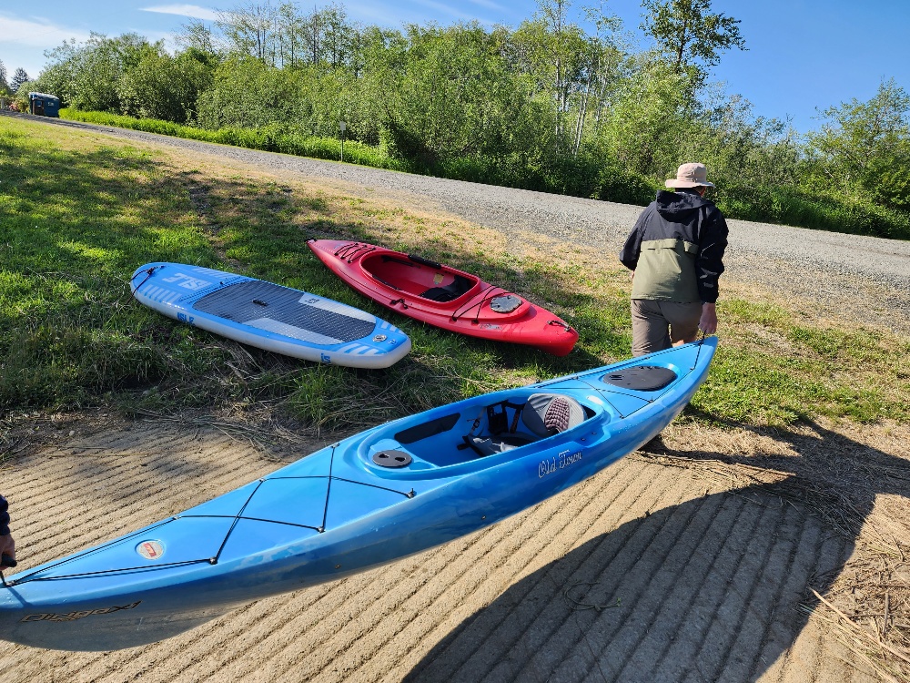 two kayaker, one is not in view, carry a blue kayak from the dock too the bank of the Chehalis River. Two kayaks are lying in the grass