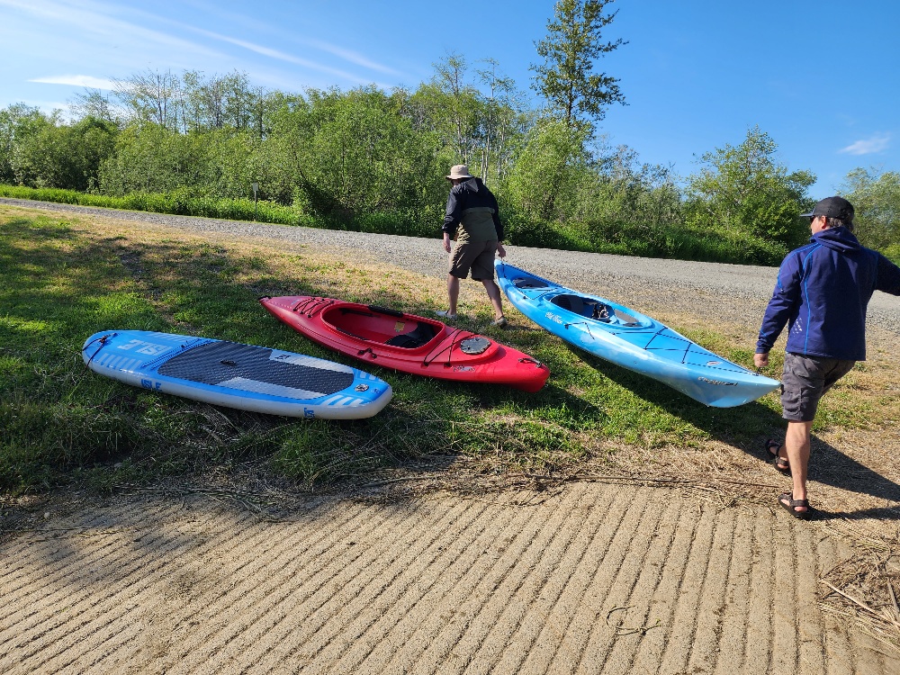 three kayak in dirt and grass on the bank of the Chehalis River, a kayaker is walking between two of them.