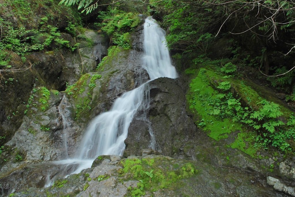 Maidenhair Falls