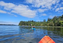kayaker in the water paddling to Squaxin Park