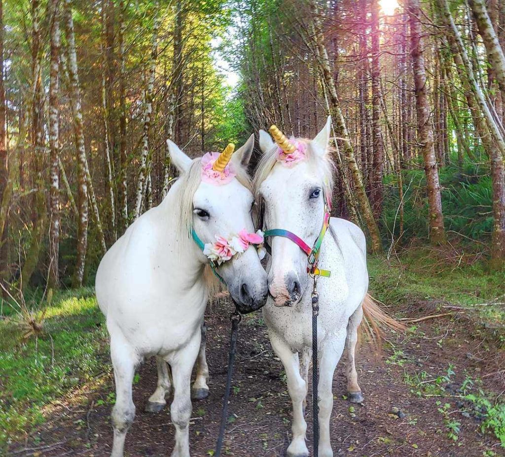 two white miniature horses with fake unicorn horns and their manes dyed pink standing in a wood