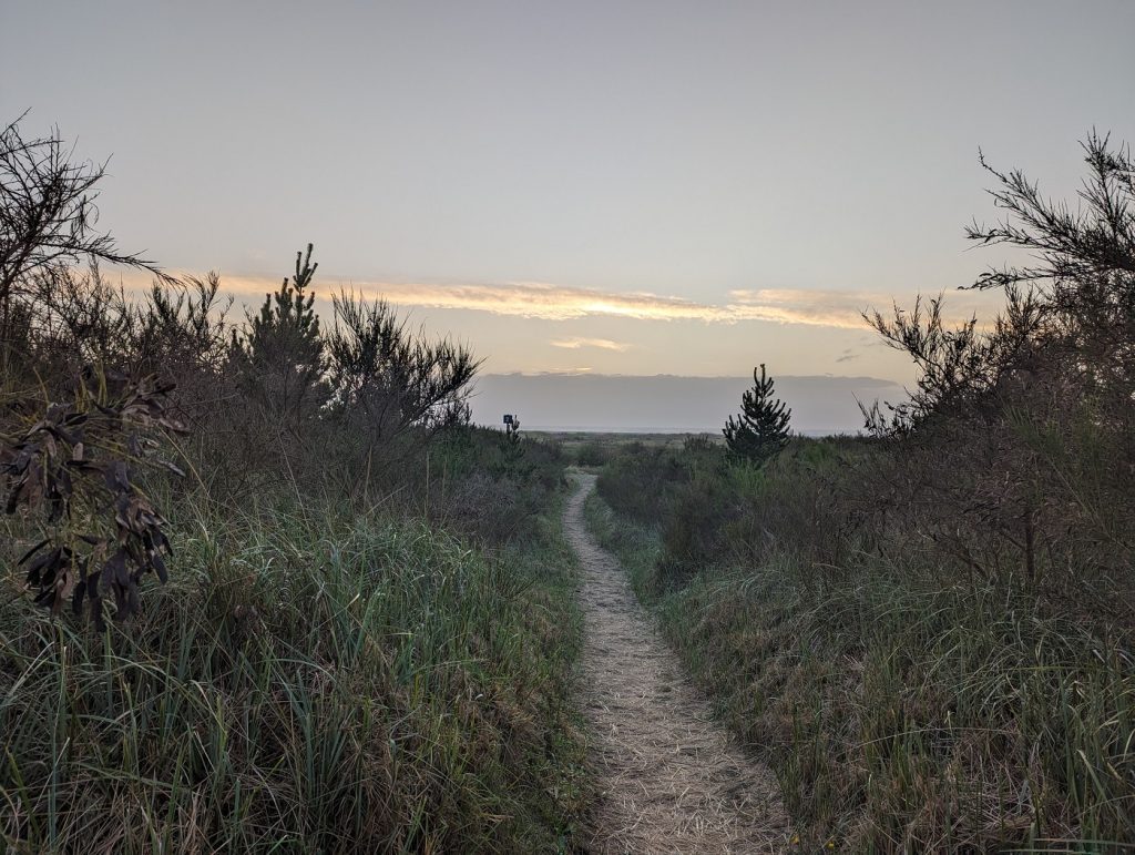 beach trait with vegetation on both sides