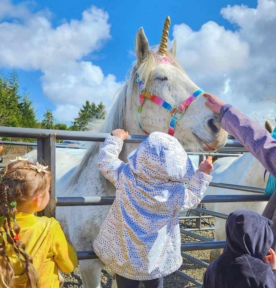 a white horse with a gold unicorn horn is getting petted by three kids through a metal gate