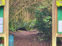 a wooden arch over a trail with forest on either side