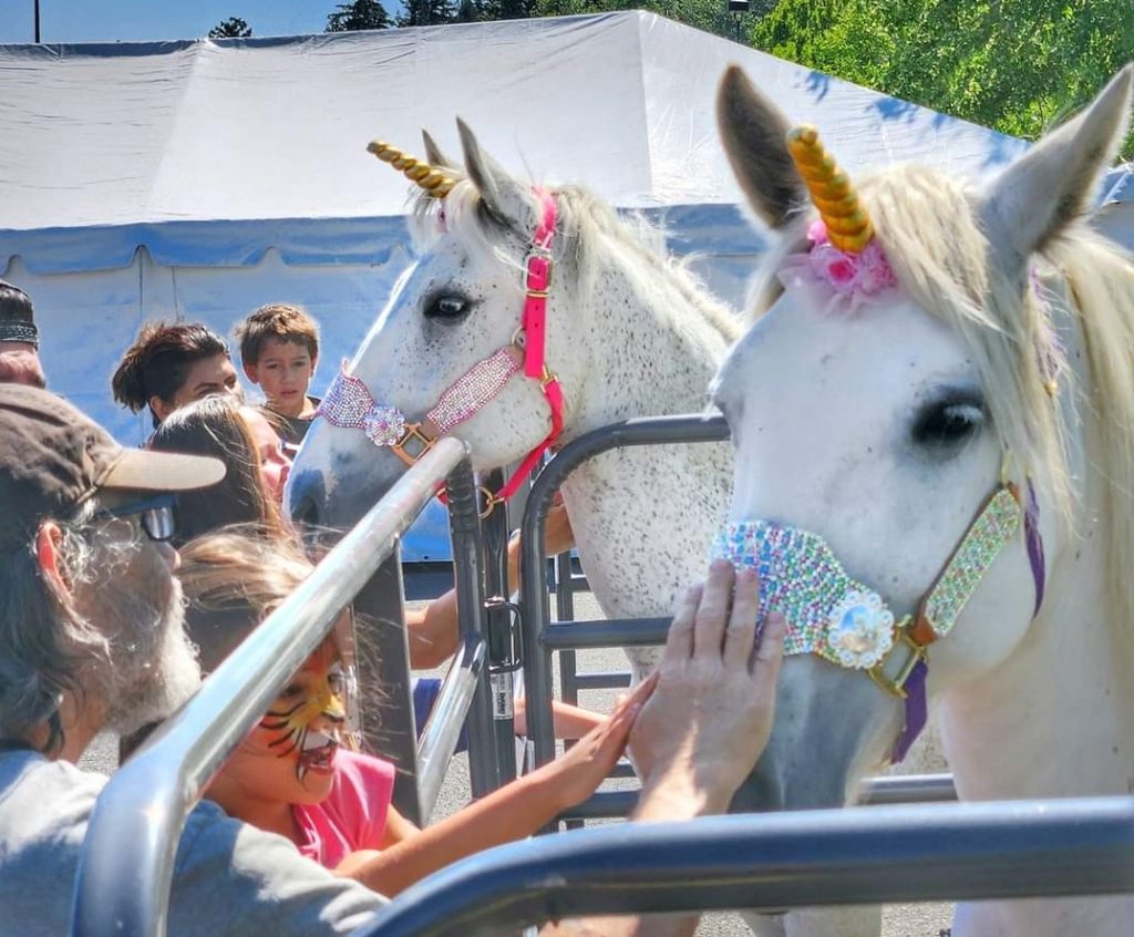 two white horses with unicorn horns on are greeted by guests at the Mermaid Festival in Grays Harbor