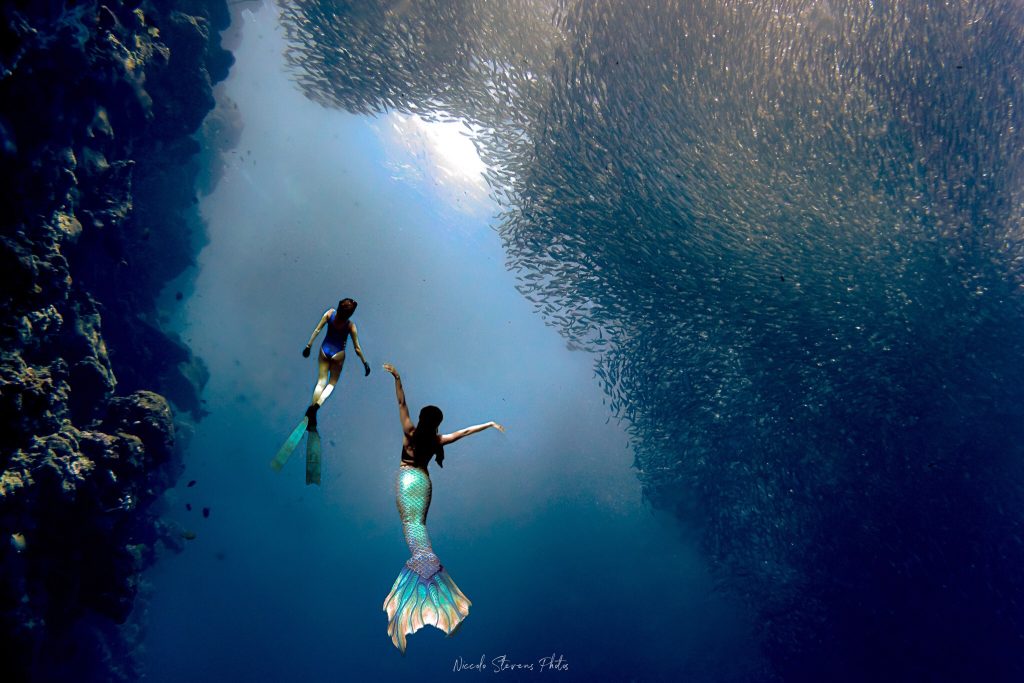 two woman dressed as mermaid swim in the ocean near some rocks and a huge school of fish.