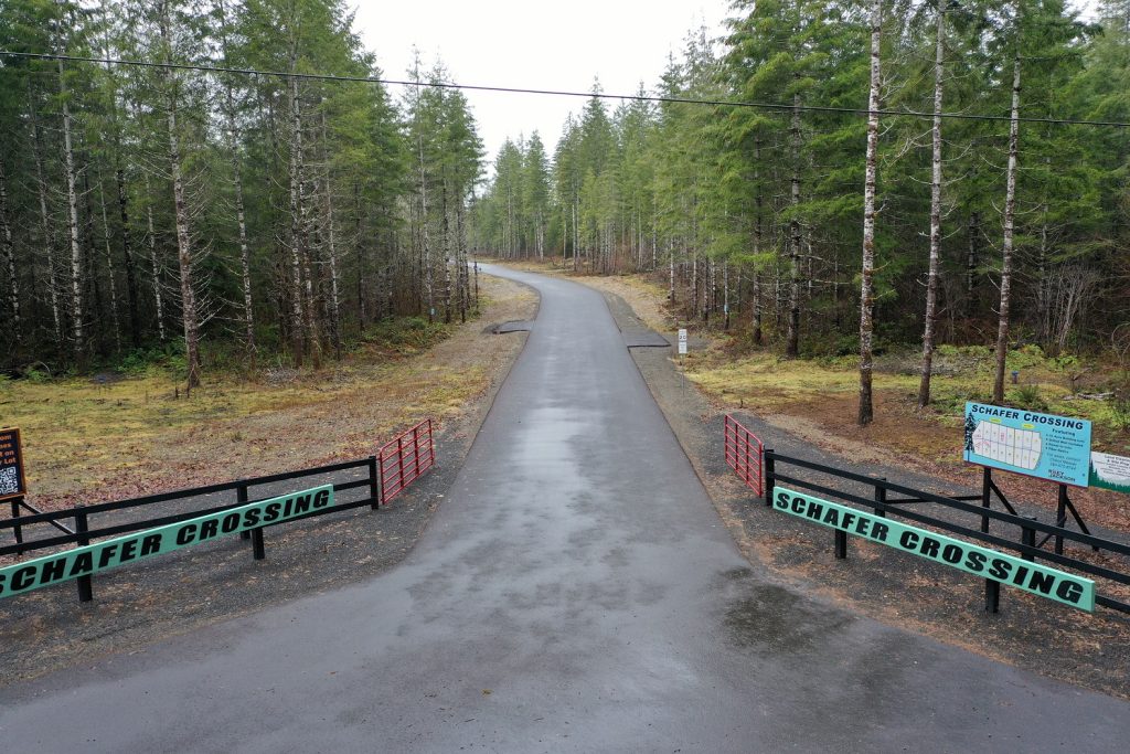 driveway into a treed area